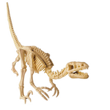 4M Dig A Velociraptor Skeleton