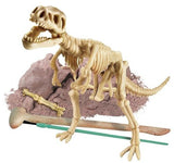 4M Tyrannosaurus Rex Skeleton