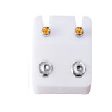 Birthstone Stainless Steel Surgical Stud Earrings -