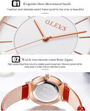 OLEVS Women's Ultra Thin Leather Watch - Red