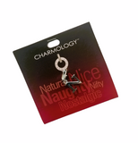 Charmology Silver Letter Clip On Charm
