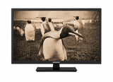 Wesonic 32-inch HD LED TV