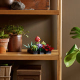 LEGO 10309 Icons Succulents