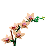 LEGO 10343 Botanicals Mini Orchid
