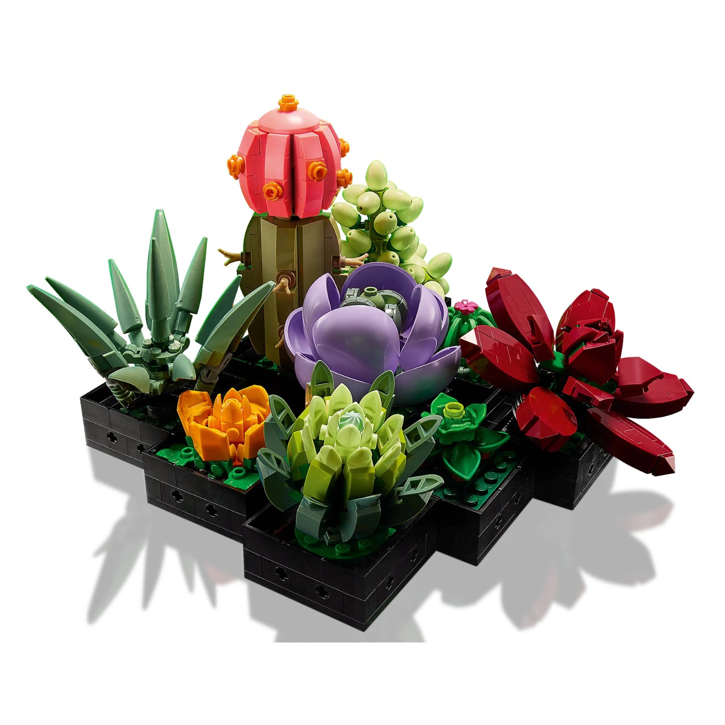 LEGO 10309 Icons Succulents