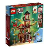 LEGO 71795 NINJAGO Temple of the Dragon Energy Cores