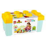 LEGO 10984 DUPLO Organic Garden
