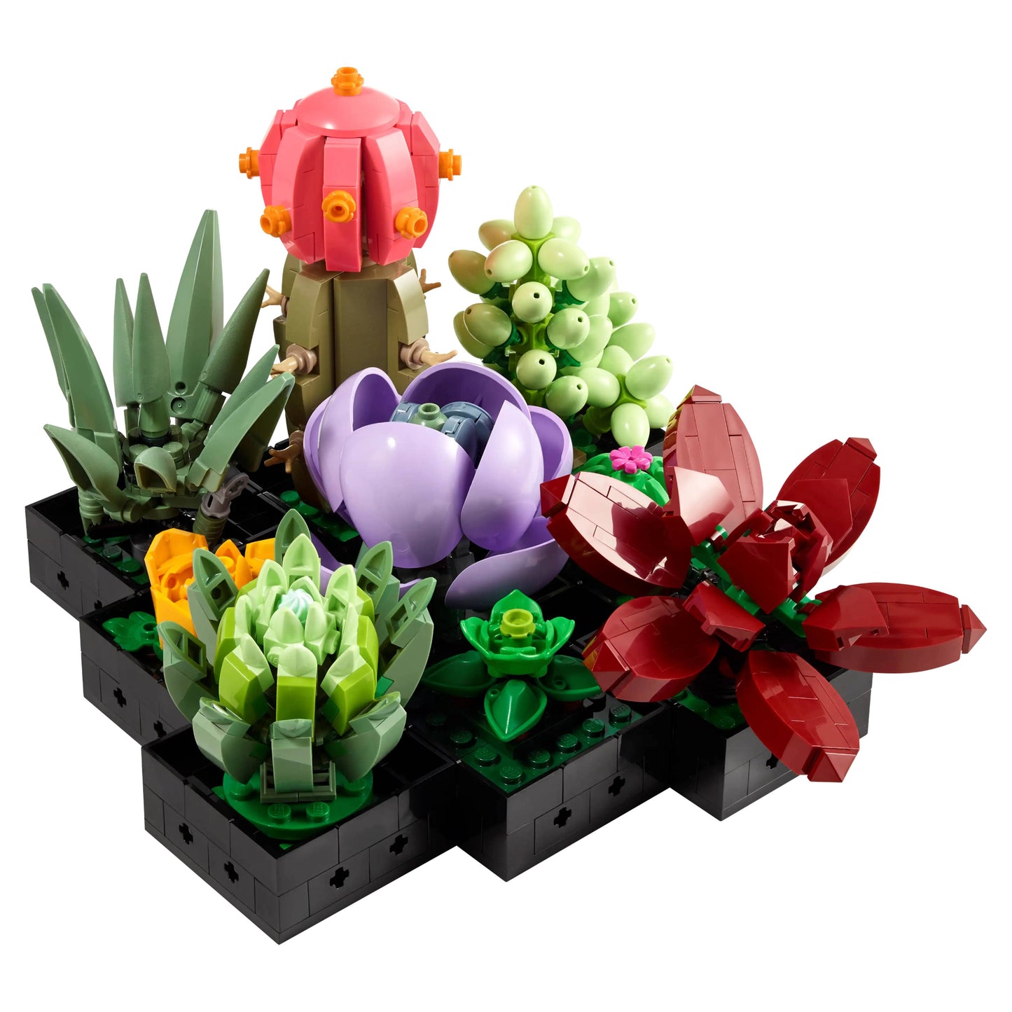 LEGO 10309 Icons Succulents