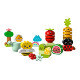 LEGO 10984 DUPLO Organic Garden
