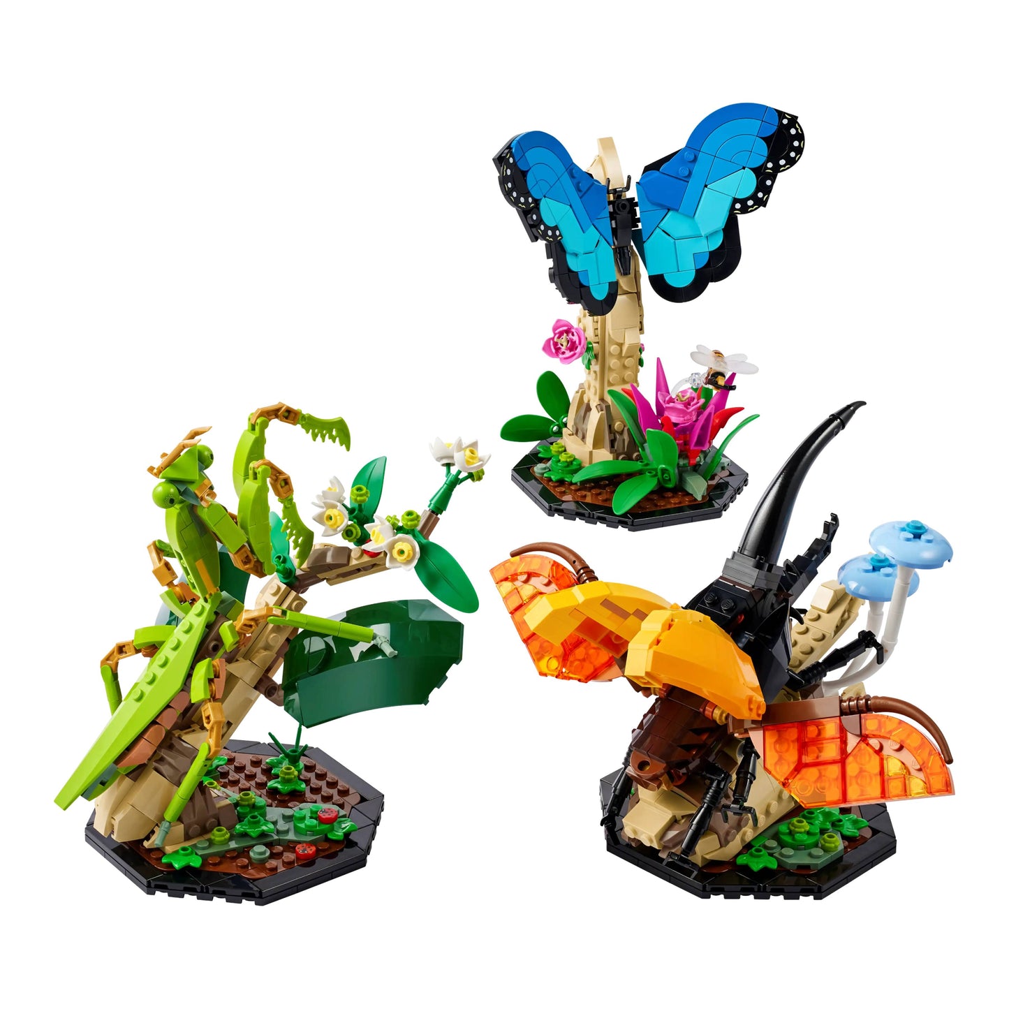 LEGO 21342 Ideas The Insect Collection