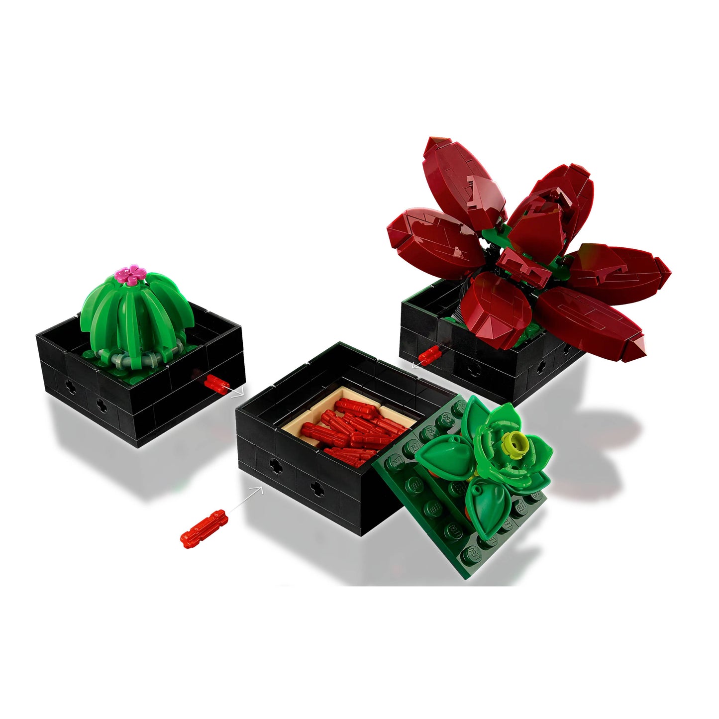 LEGO 10309 Icons Succulents