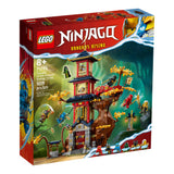 LEGO 71795 NINJAGO Temple of the Dragon Energy Cores