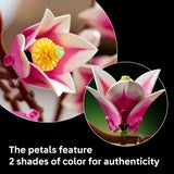 LEGO® Botanicals Magnolia Branches Flower Decor 11510