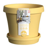 Sebor - Super Pot Planter Set 15CM
