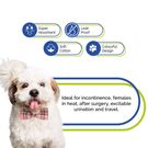 All Pet Solutions Disposable Female Dog Nappies - 10 Pack