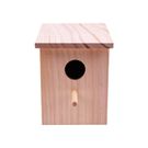 All Pets Solutions Paint Your Own Bird Box