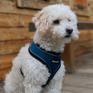 All Pets Solutions Dog Harness with Reflective Strip Navy - Small