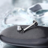 Internally Threaded Titanium Labret Lip Stud - 5 Piece