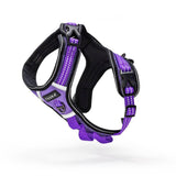 Fauna Comfort Luxury Purple Dog Harness - Large