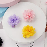 20 Piece Chiffon Flower Hair Clips