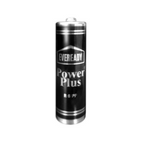 Eveready- Power Plus Silver AA (R6PP) x 24