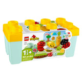 LEGO 10984 DUPLO Organic Garden