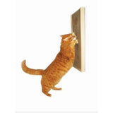 Kunduchi Wooden Cat Scratcher Wall Unit KUN008